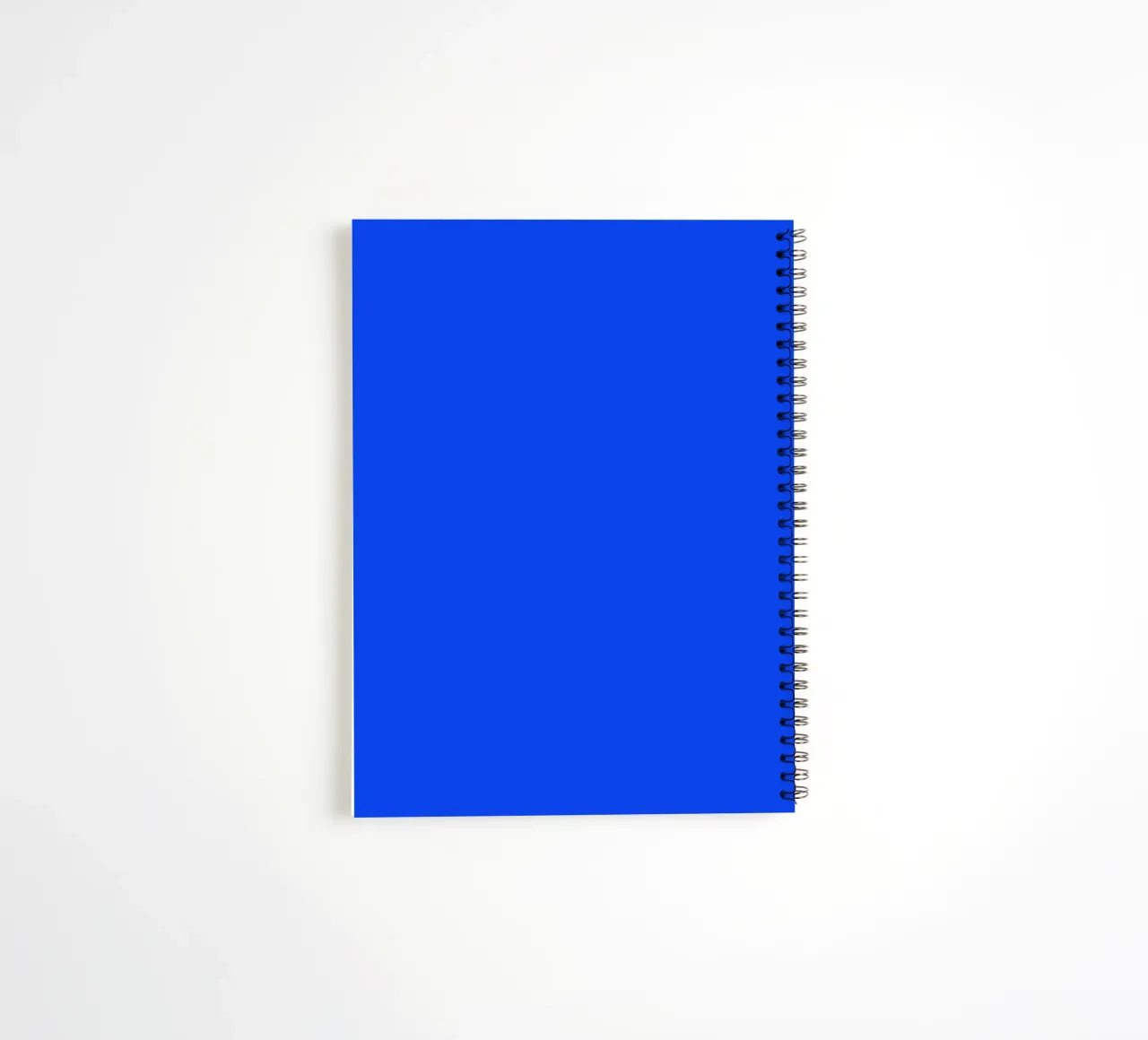 Cosa succede se tutto funziona rosa e blu Typografie Design diario ad anelli da THE MOTIVATED TYPE