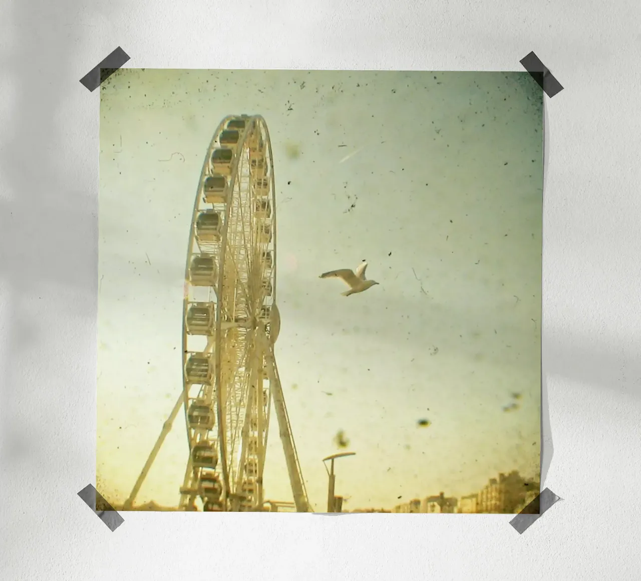 Vue d'oiseau poster de Cassia Beck Photography