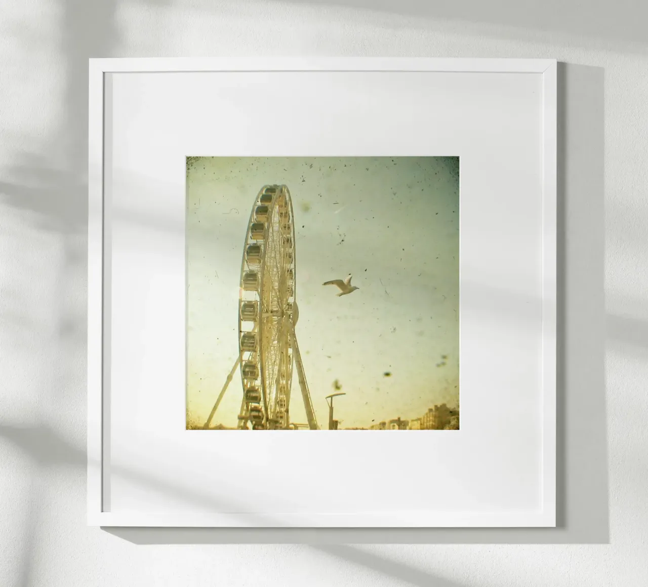 Vue d'oiseau poster de Cassia Beck Photography