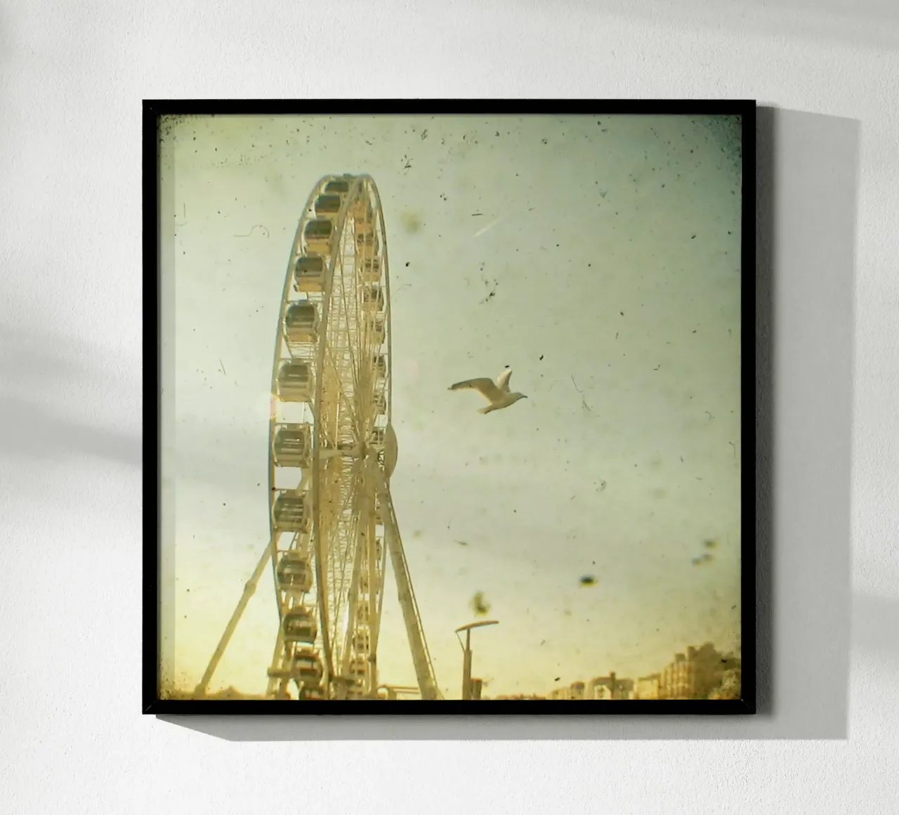 Vue d'oiseau poster de Cassia Beck Photography