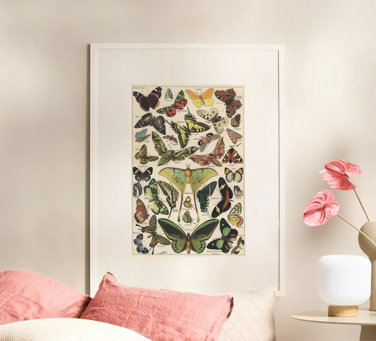 Papillons / Butterflies poster con telaio in alluminio da apoloprints