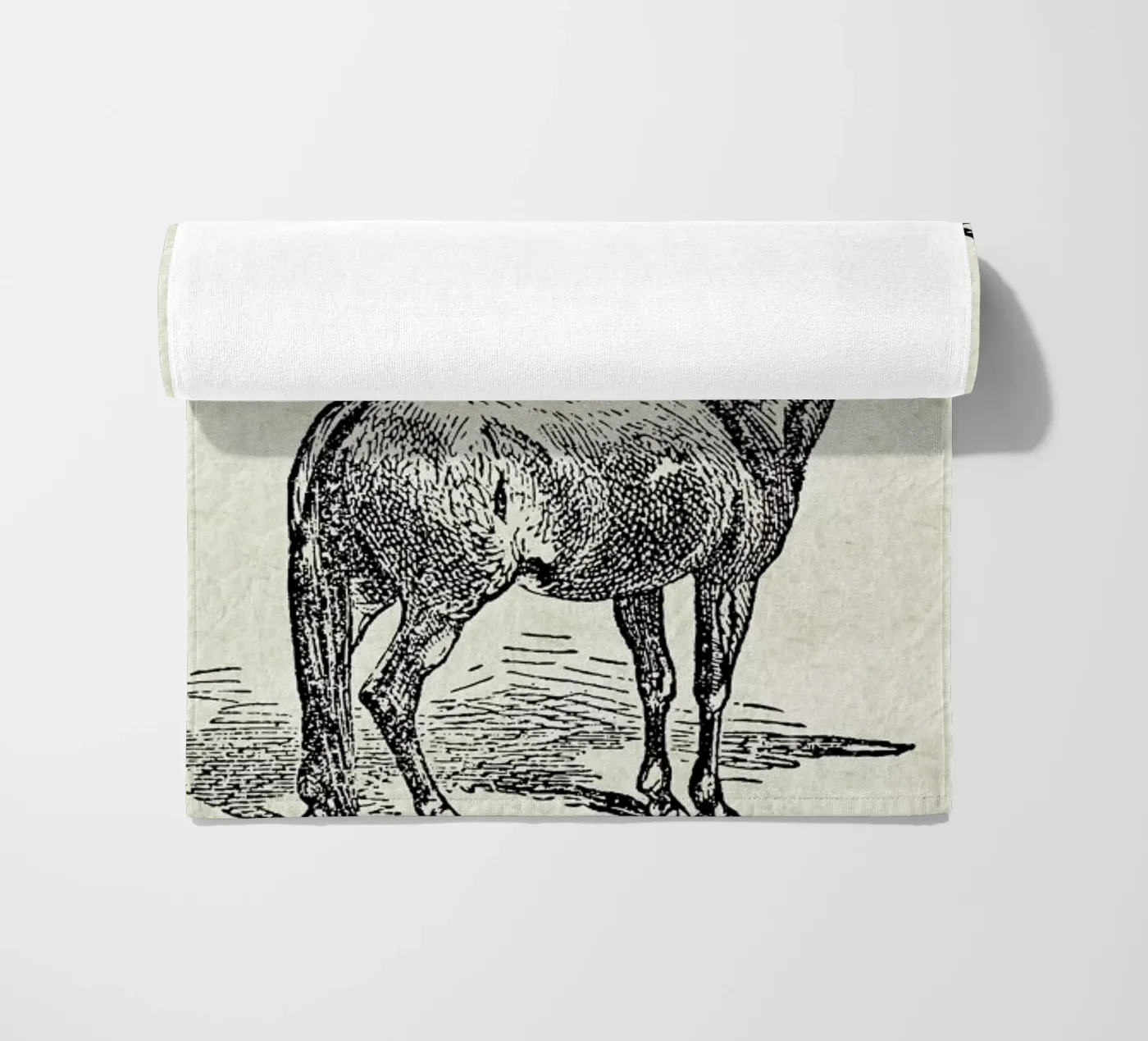 Bad Ass telo mare da Jacqueline Maldonado