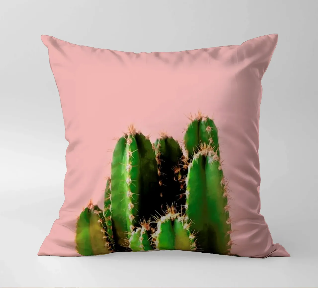 Cactus Time cuscino da cafelab