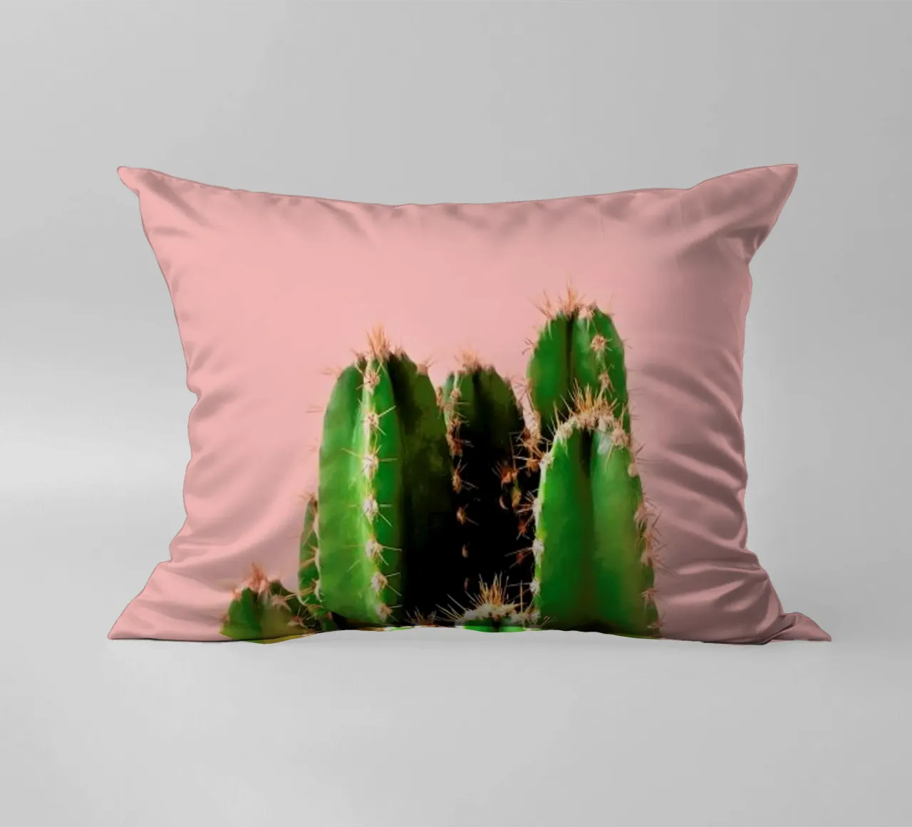 Cactus Time cuscino da cafelab
