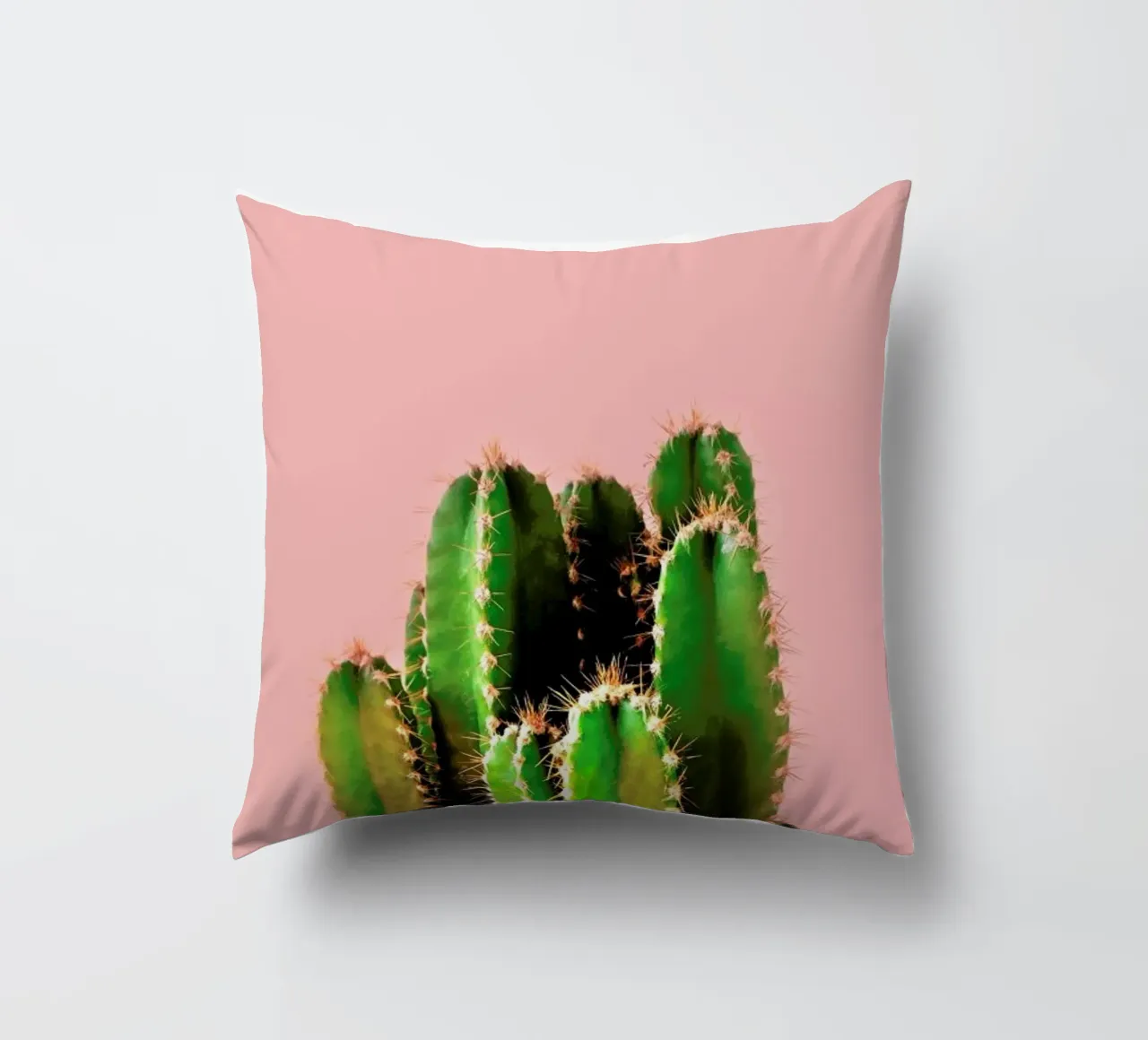 Cactus Time cuscino da cafelab