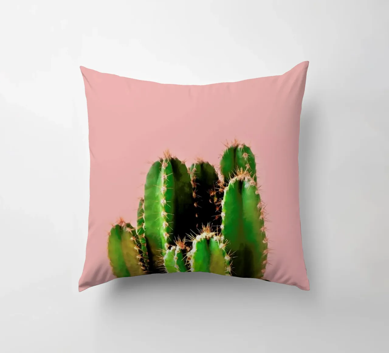 Cactus Time cuscino da cafelab