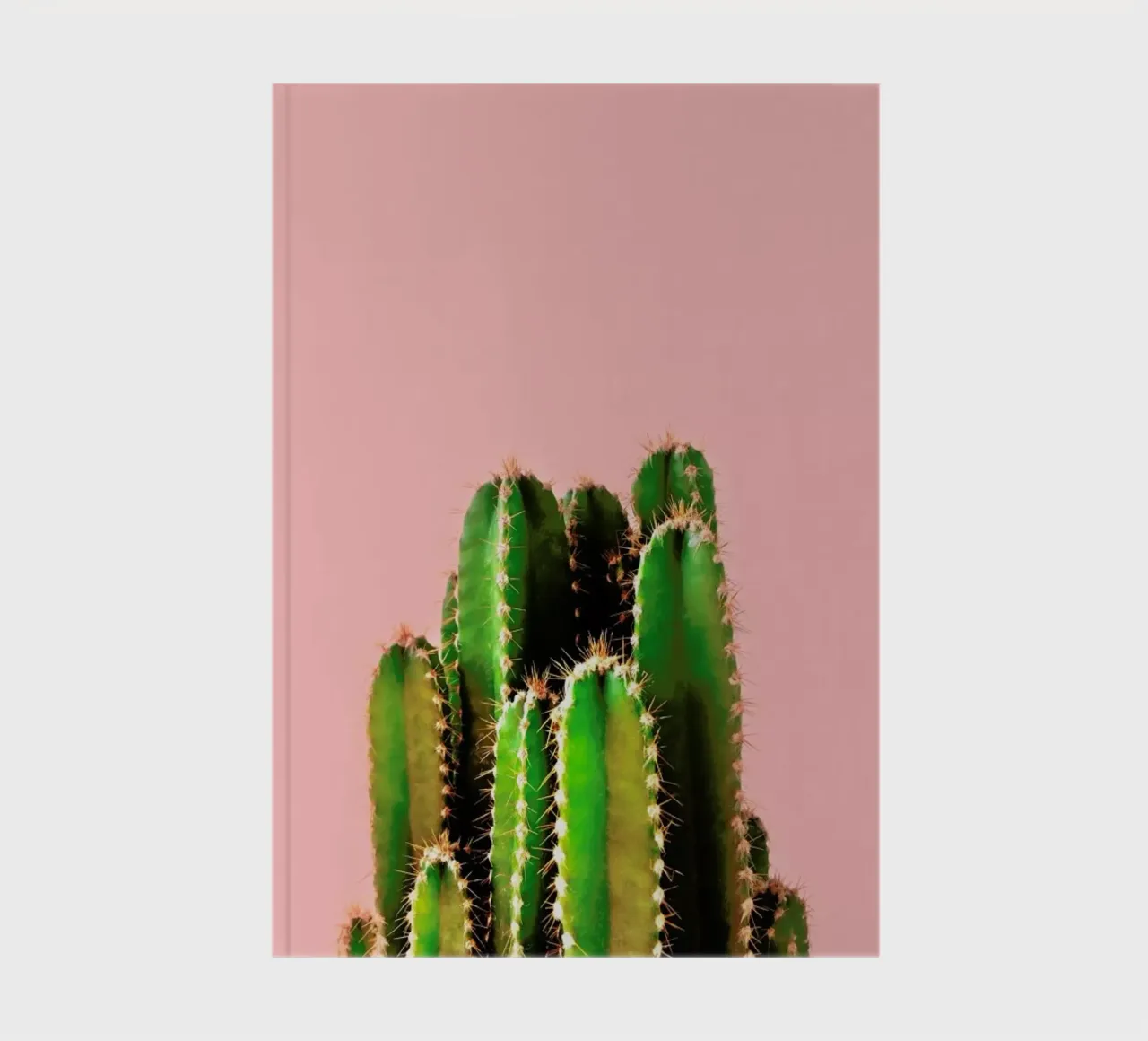 Cactus Time notebook by cafelab