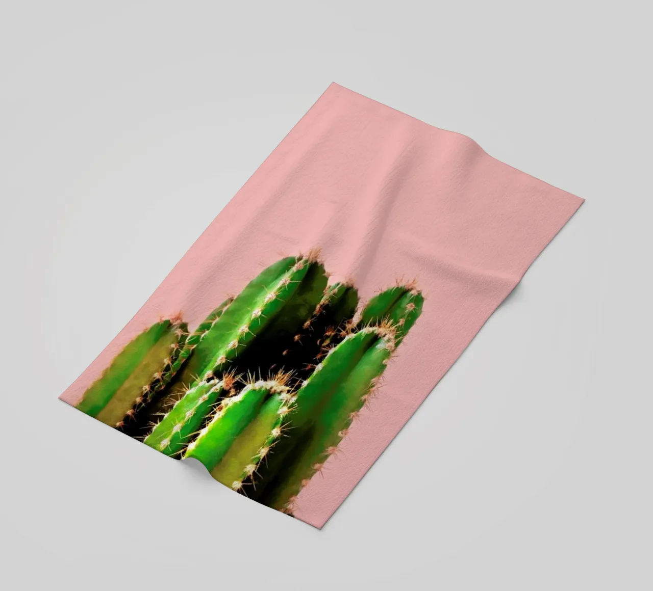 Cactus Time telo mare da cafelab