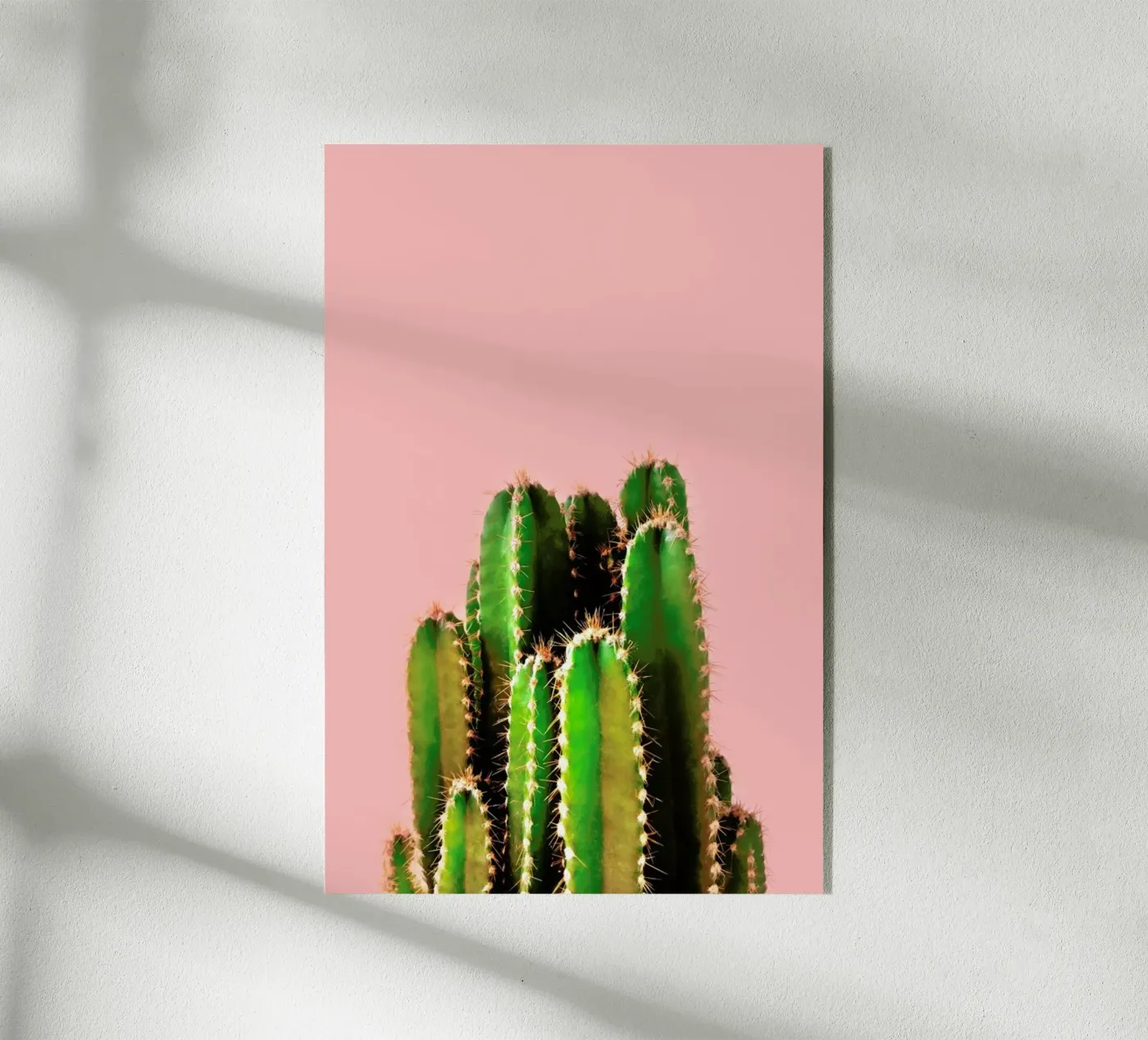 Cactus Time Acryl-Glas von cafelab