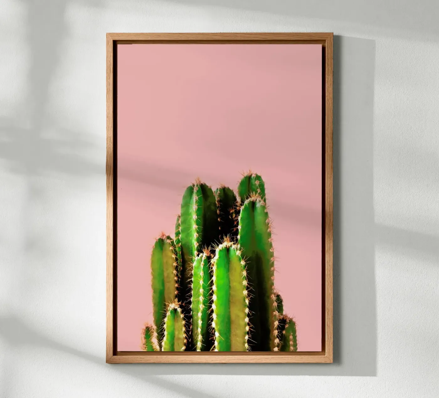 Cactus Time alluminio dibond da cafelab