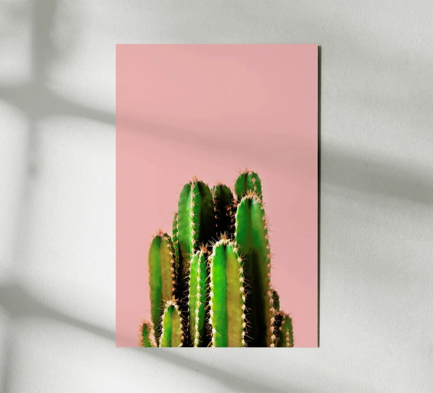 Cactus Time alluminio dibond da cafelab