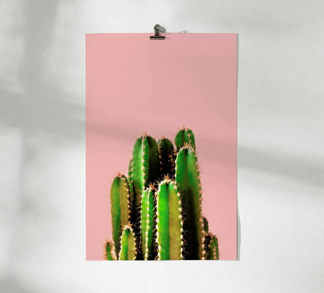 Cactus Time carta hahnemühle da cafelab