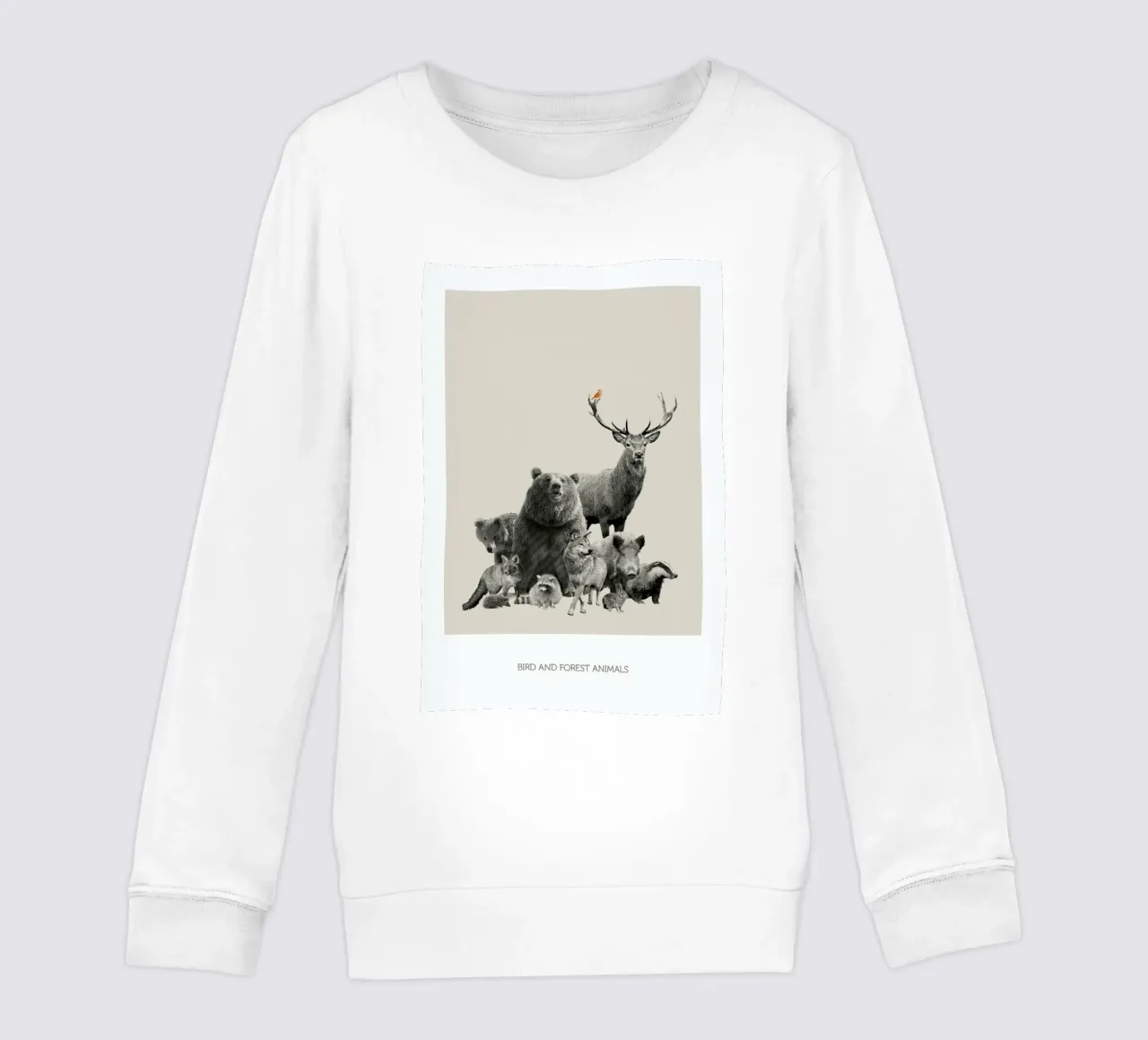 Bird And Forest Animals felpa bambino da Sarah Bühler