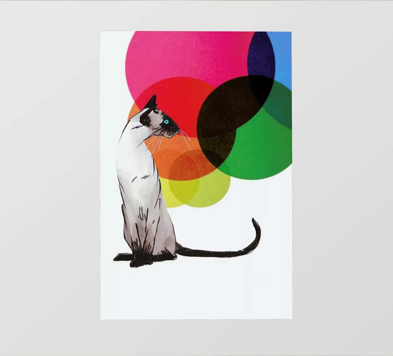 Siamese Cat with colorful balls pellicola backlit da Rococco LA