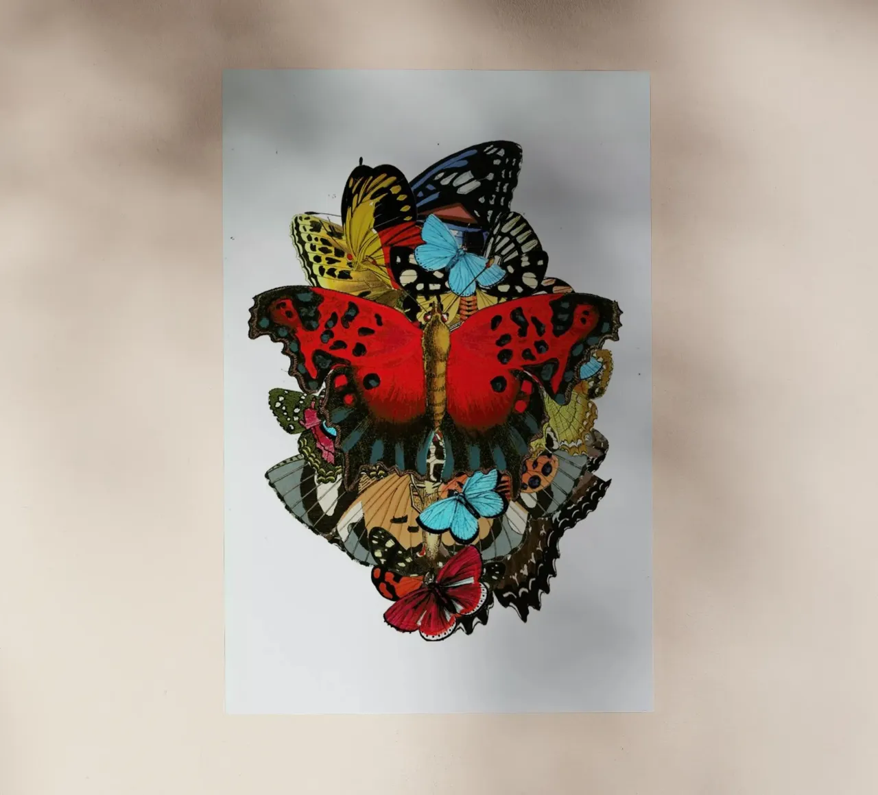 The colors of nature 1 pellicola backlit da Rococco LA