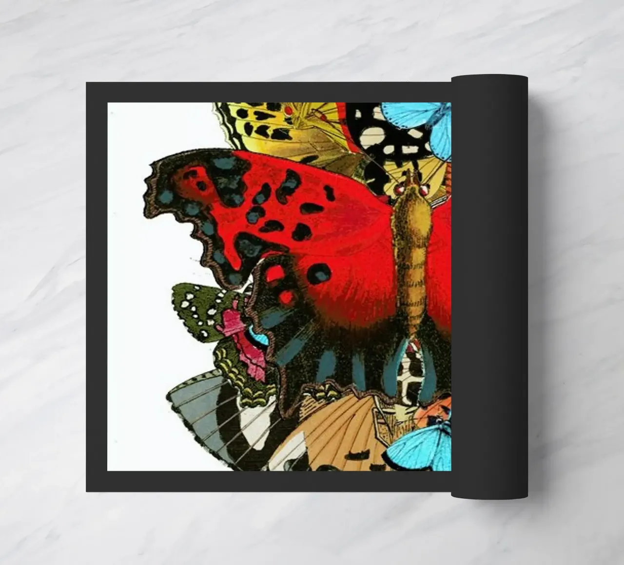 The colors of nature 1 zerbino da Rococco LA