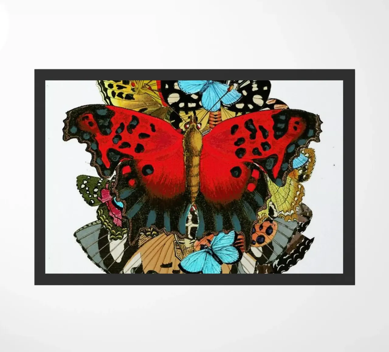 The colors of nature 1 zerbino da Rococco LA