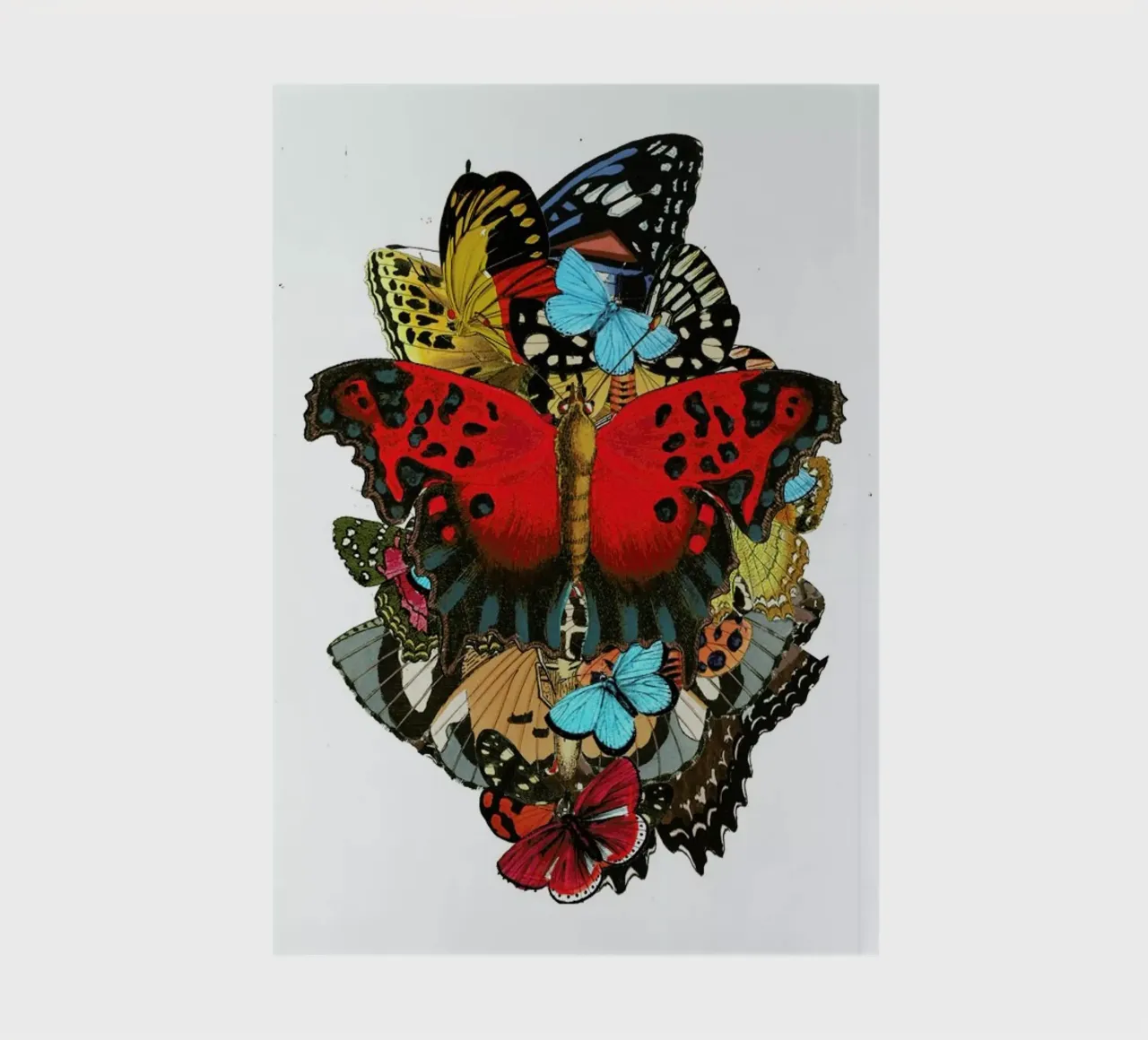 The colors of nature 1 notebook by Rococco LA