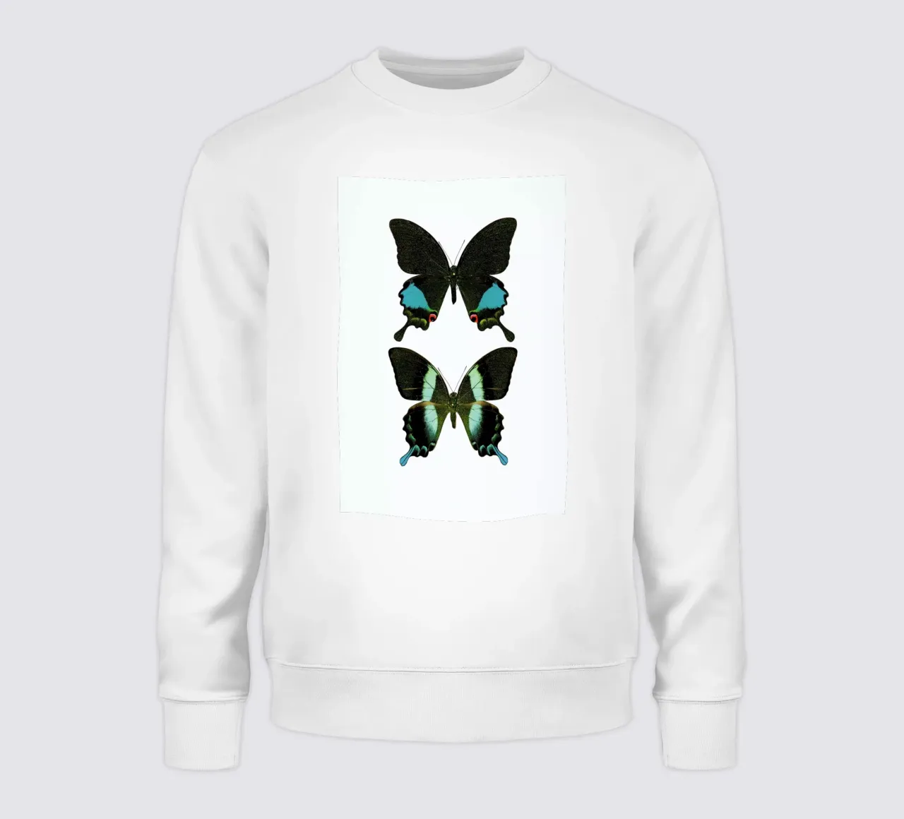 Butterfly 2 felpa da Curious Collections by Marielle Leenders