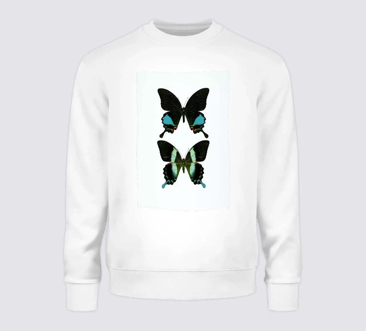 Butterfly 2 felpa da Curious Collections by Marielle Leenders
