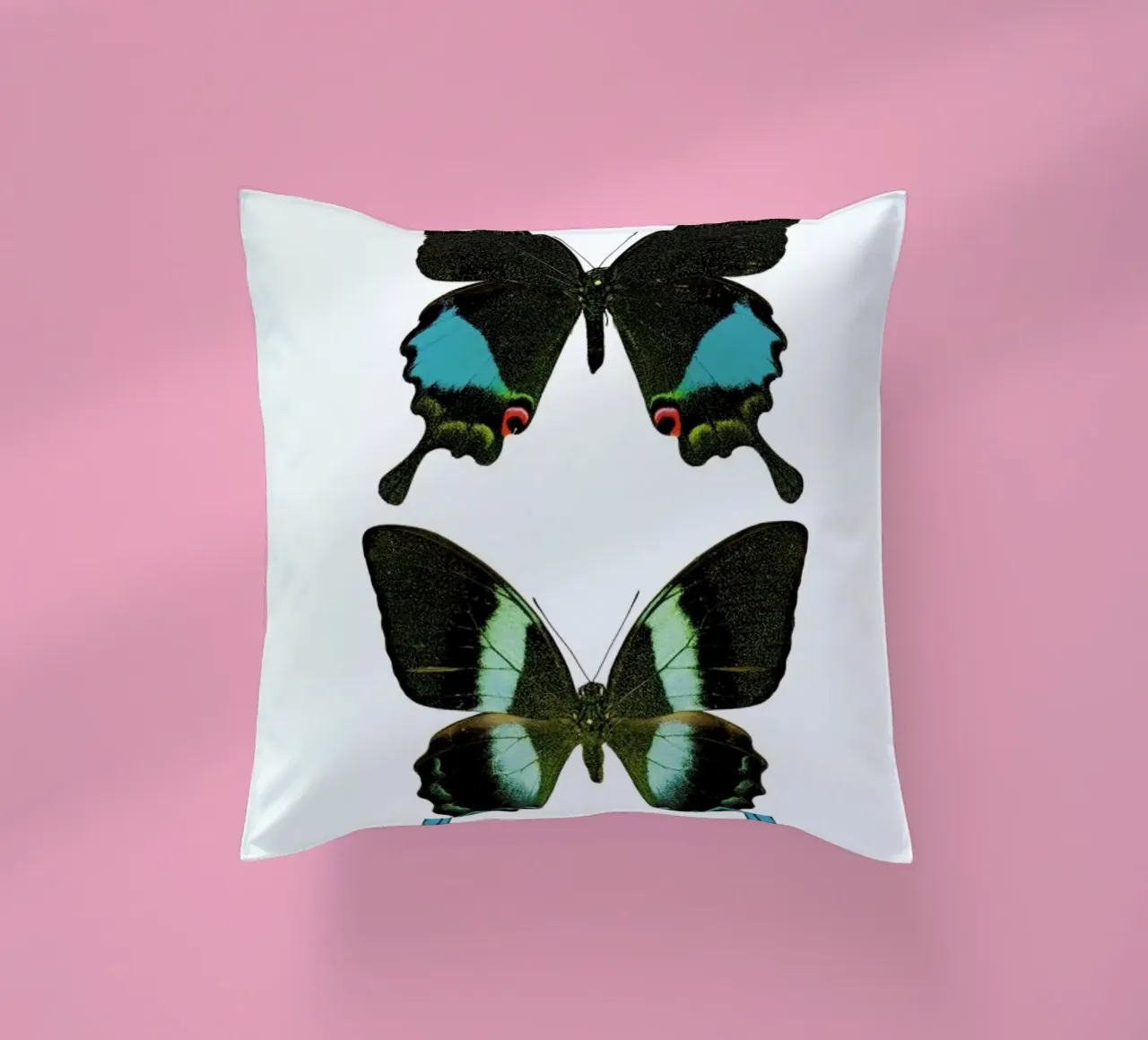 Butterfly 2 Kissen von Curious Collections by Marielle Leenders
