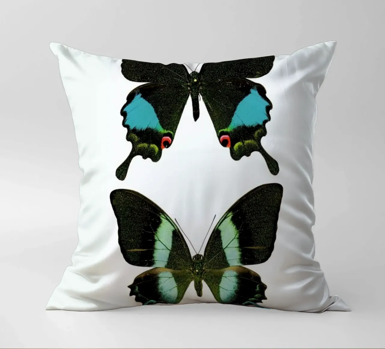 Butterfly 2 Kissen von Curious Collections by Marielle Leenders