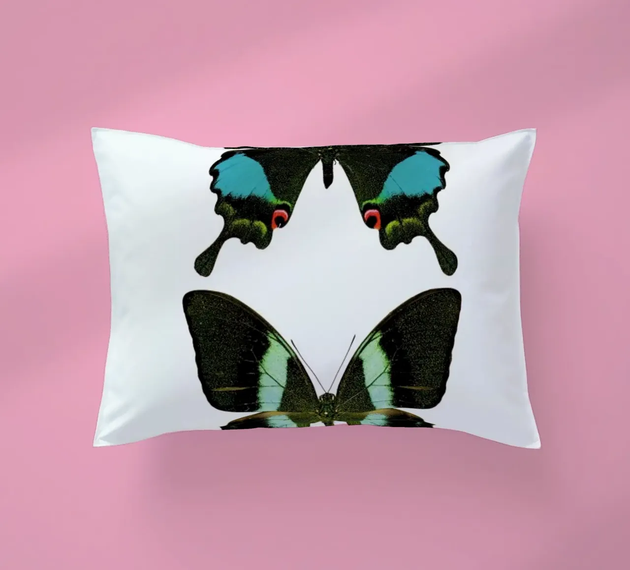 Butterfly 2 Kissen von Curious Collections by Marielle Leenders