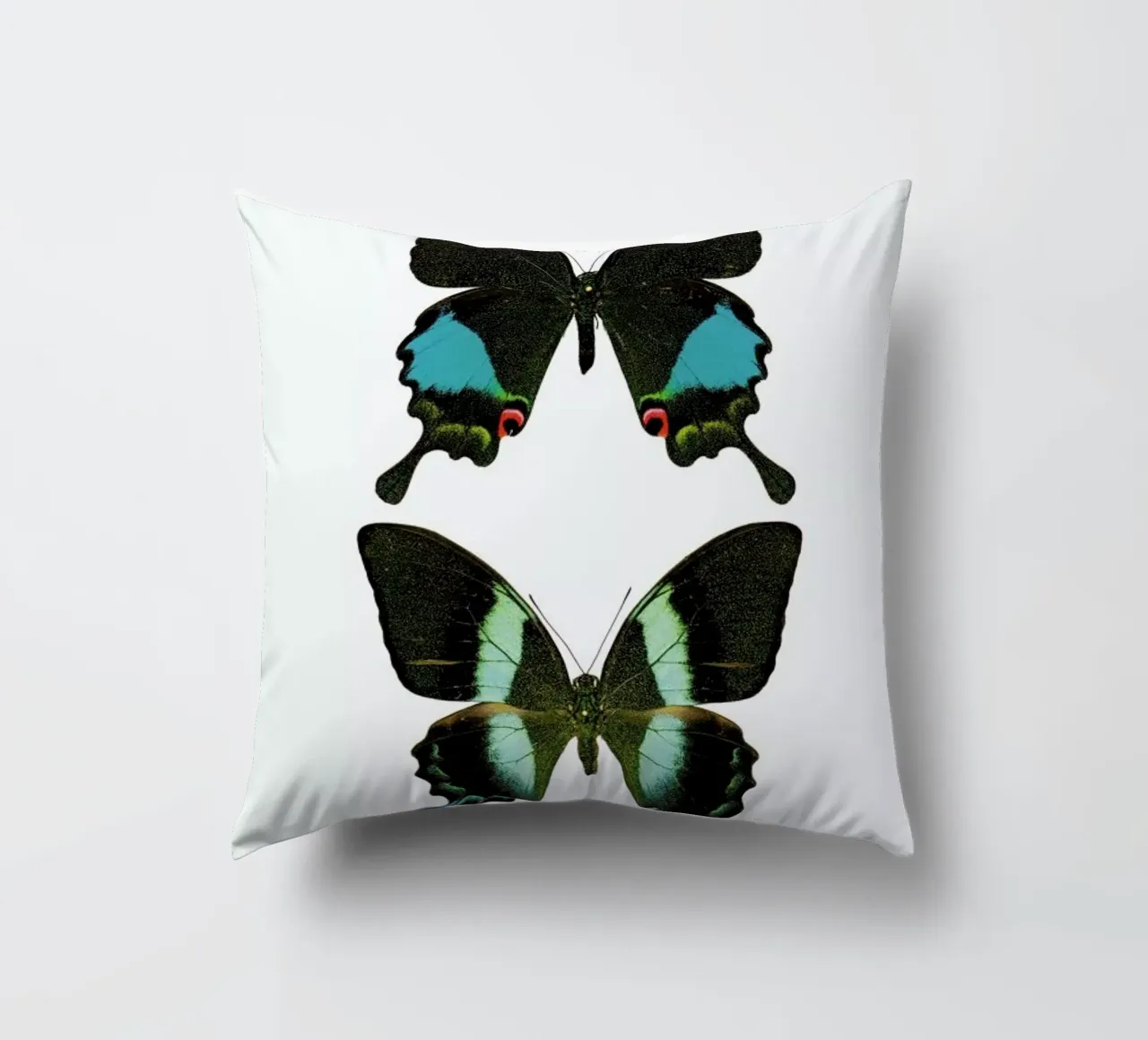 Butterfly 2 Kissen von Curious Collections by Marielle Leenders