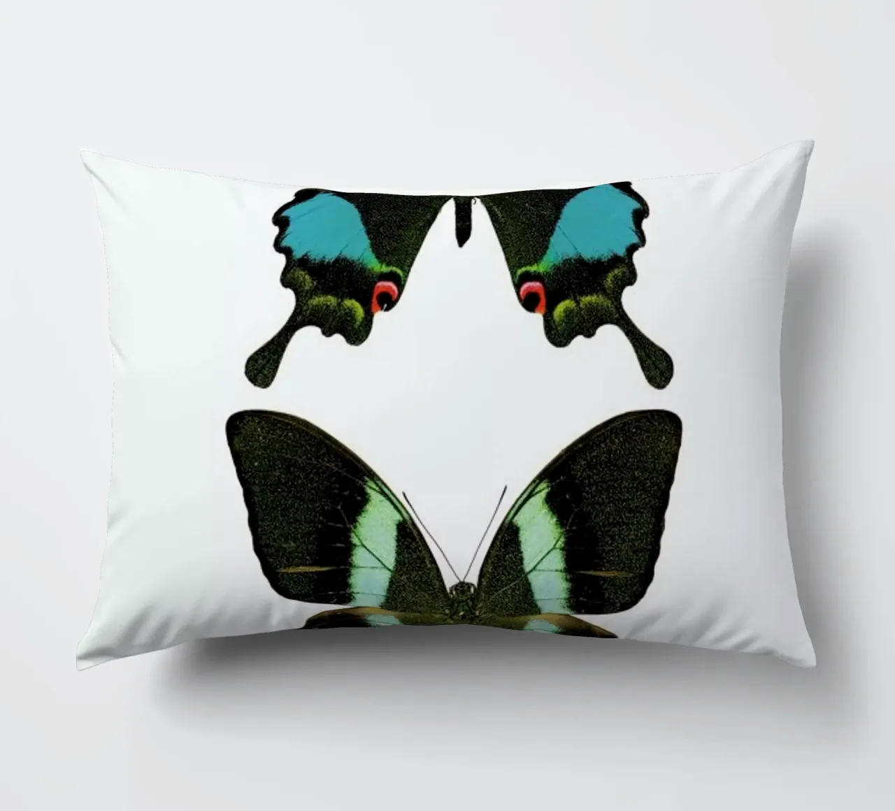 Butterfly 2 Kissen von Curious Collections by Marielle Leenders