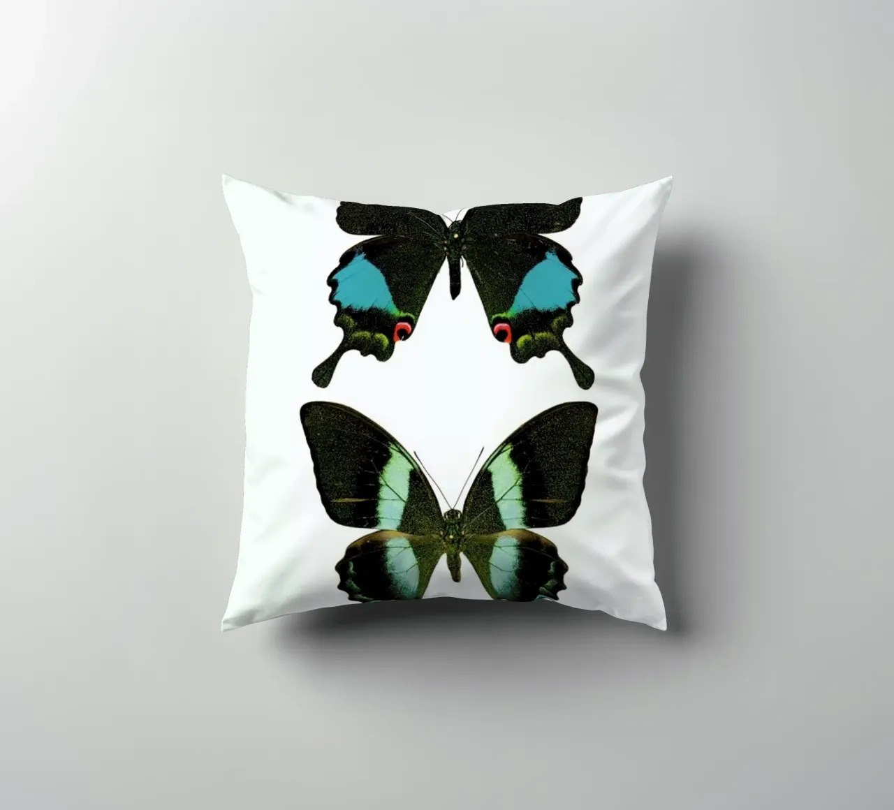 Butterfly 2 Kissen von Curious Collections by Marielle Leenders