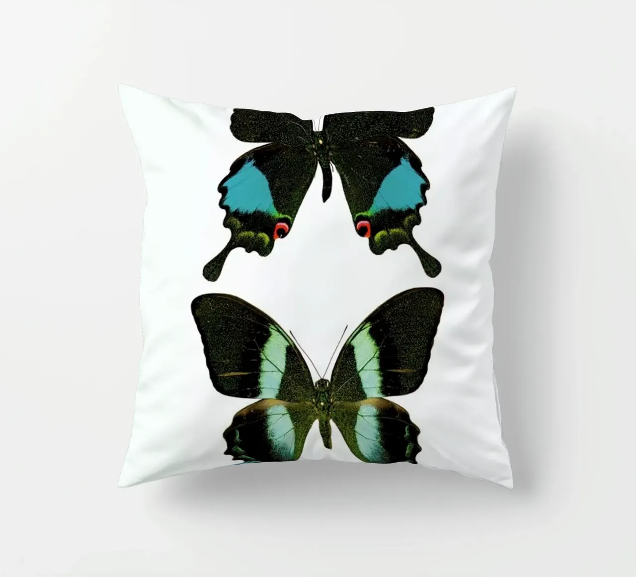 Butterfly 2 Kissen von Curious Collections by Marielle Leenders