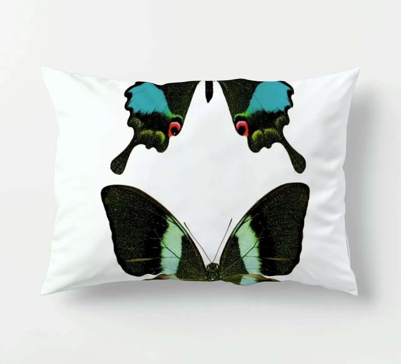 Butterfly 2 Kissen von Curious Collections by Marielle Leenders