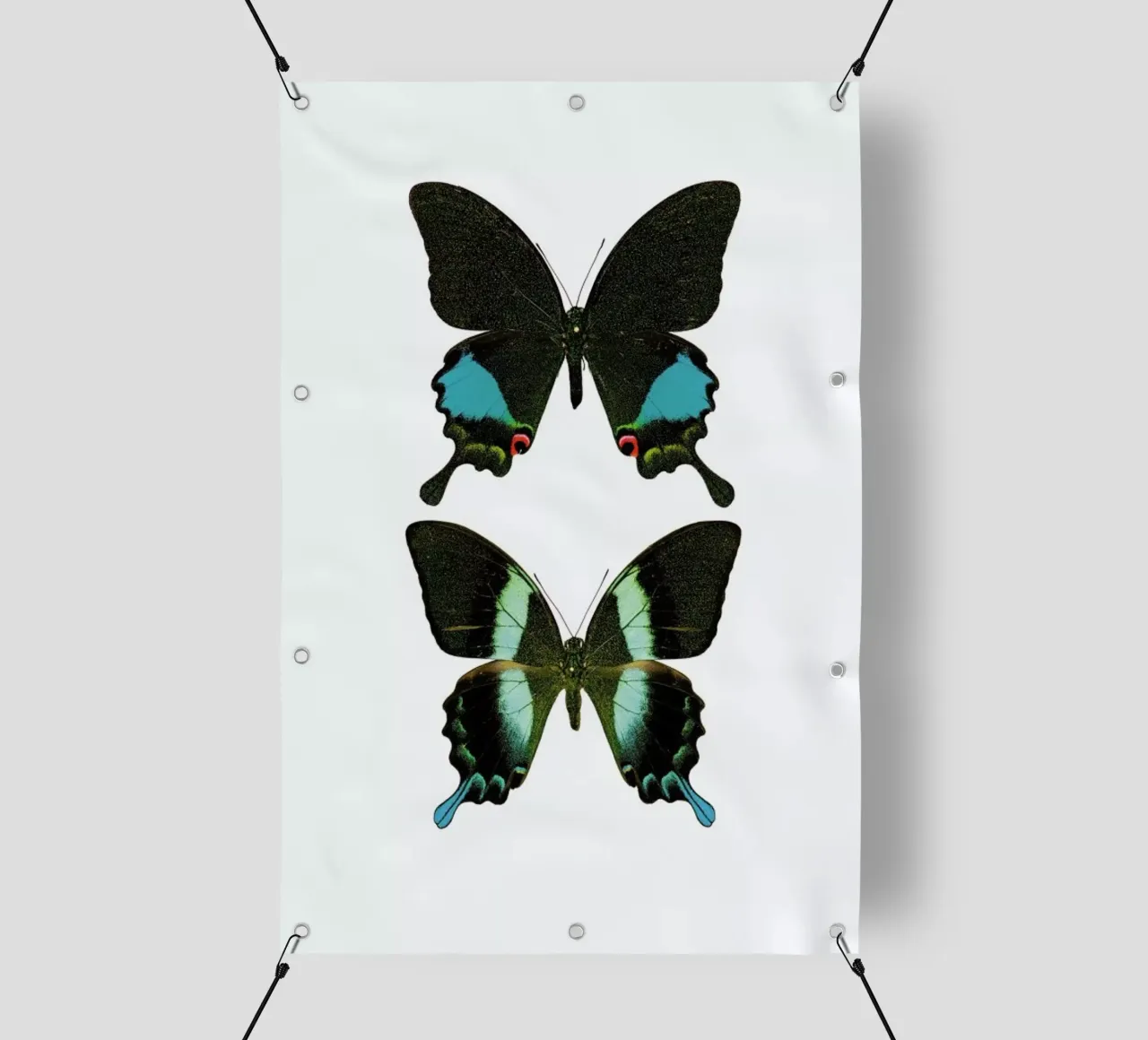 Butterfly 2 telo in pvc da Curious Collections by Marielle Leenders