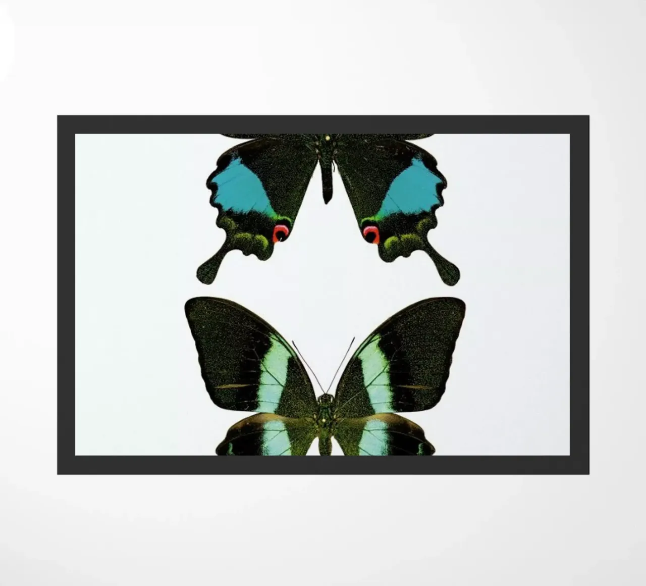 Butterfly 2 zerbino da Curious Collections by Marielle Leenders