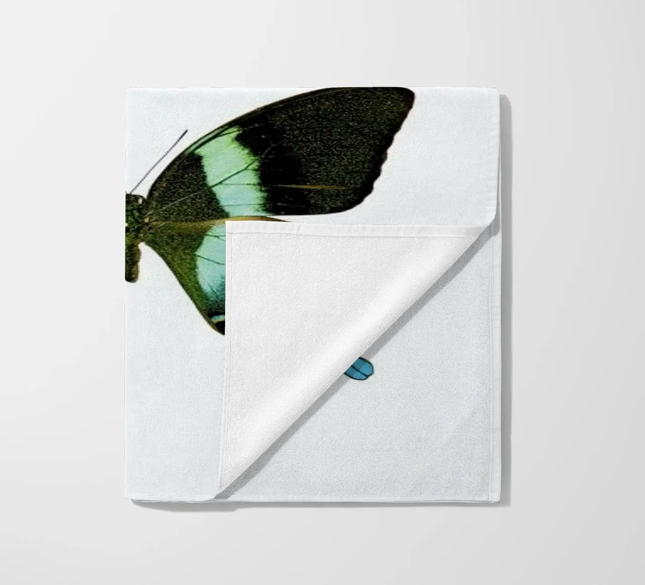 Butterfly 2 telo mare da Curious Collections by Marielle Leenders