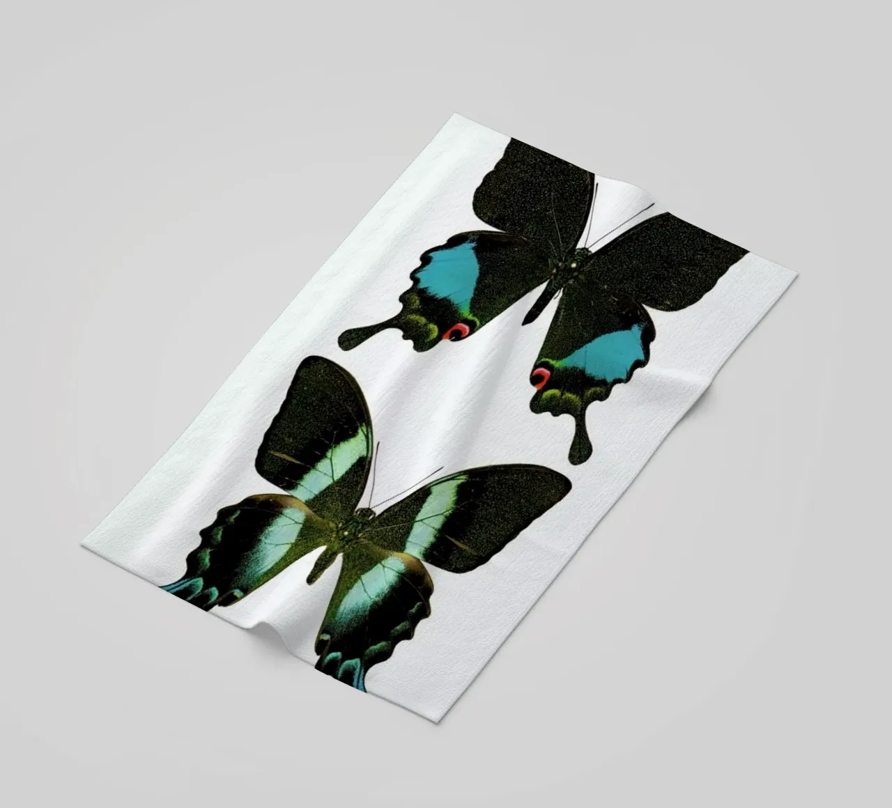 Butterfly 2 telo mare da Curious Collections by Marielle Leenders