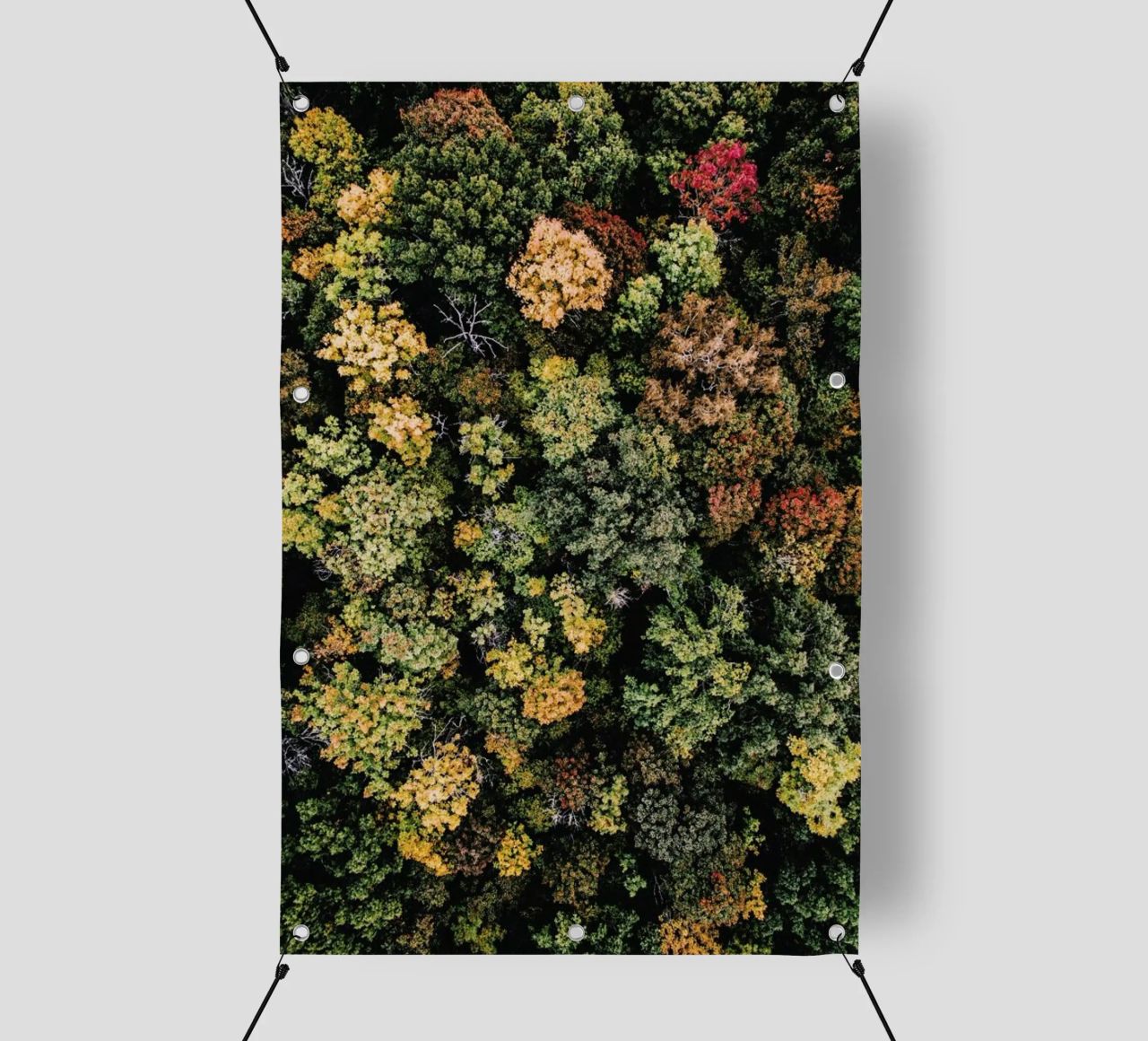 Tones of Autumn telo in pvc da Airpixels