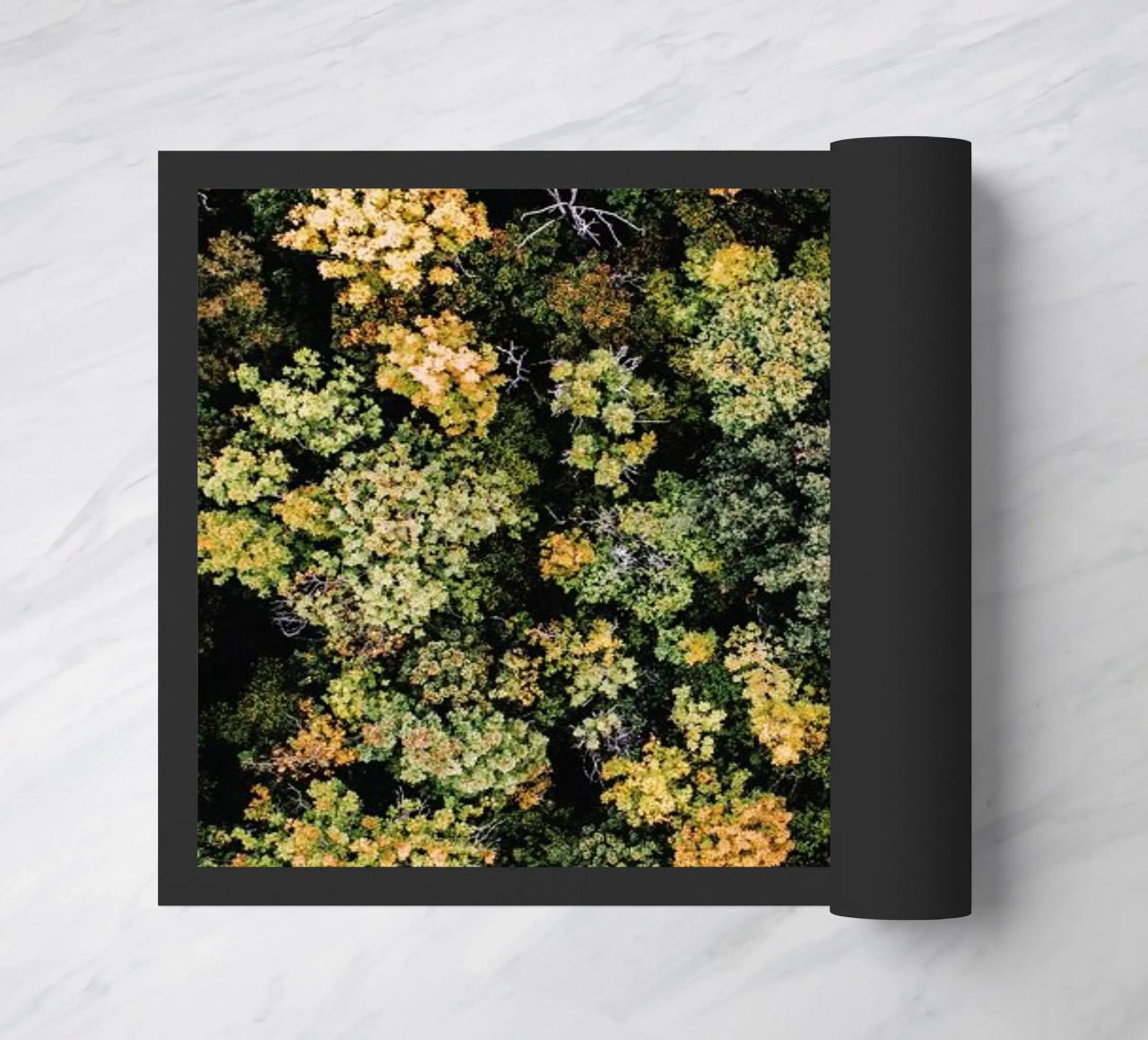 Tones of Autumn zerbino da Airpixels