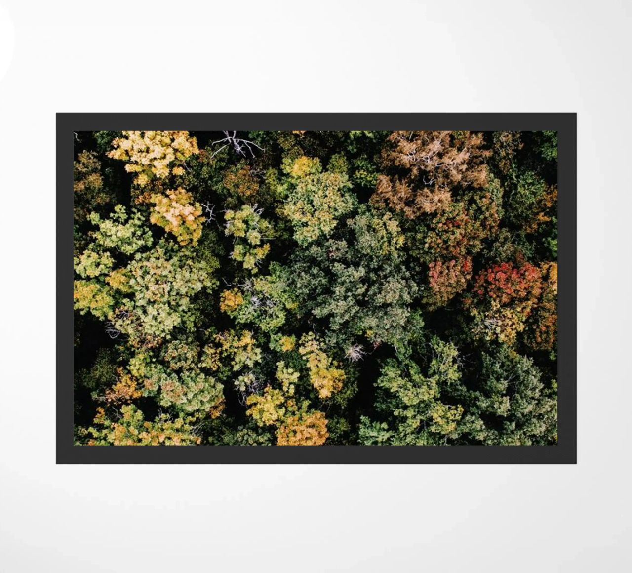 Tones of Autumn zerbino da Airpixels