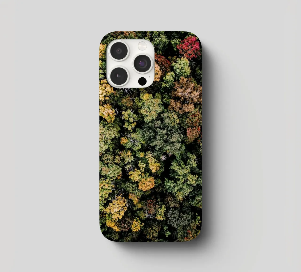 Tones of Autumn cover iphone da Airpixels