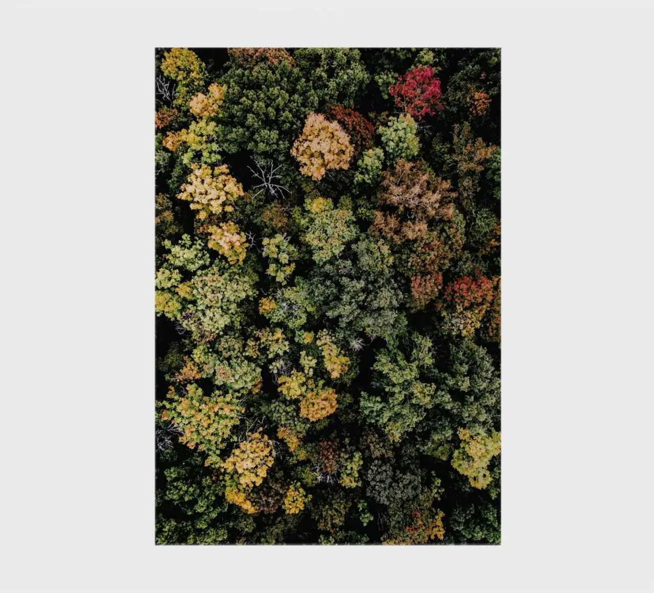 Tones of Autumn carnet de notes de Airpixels
