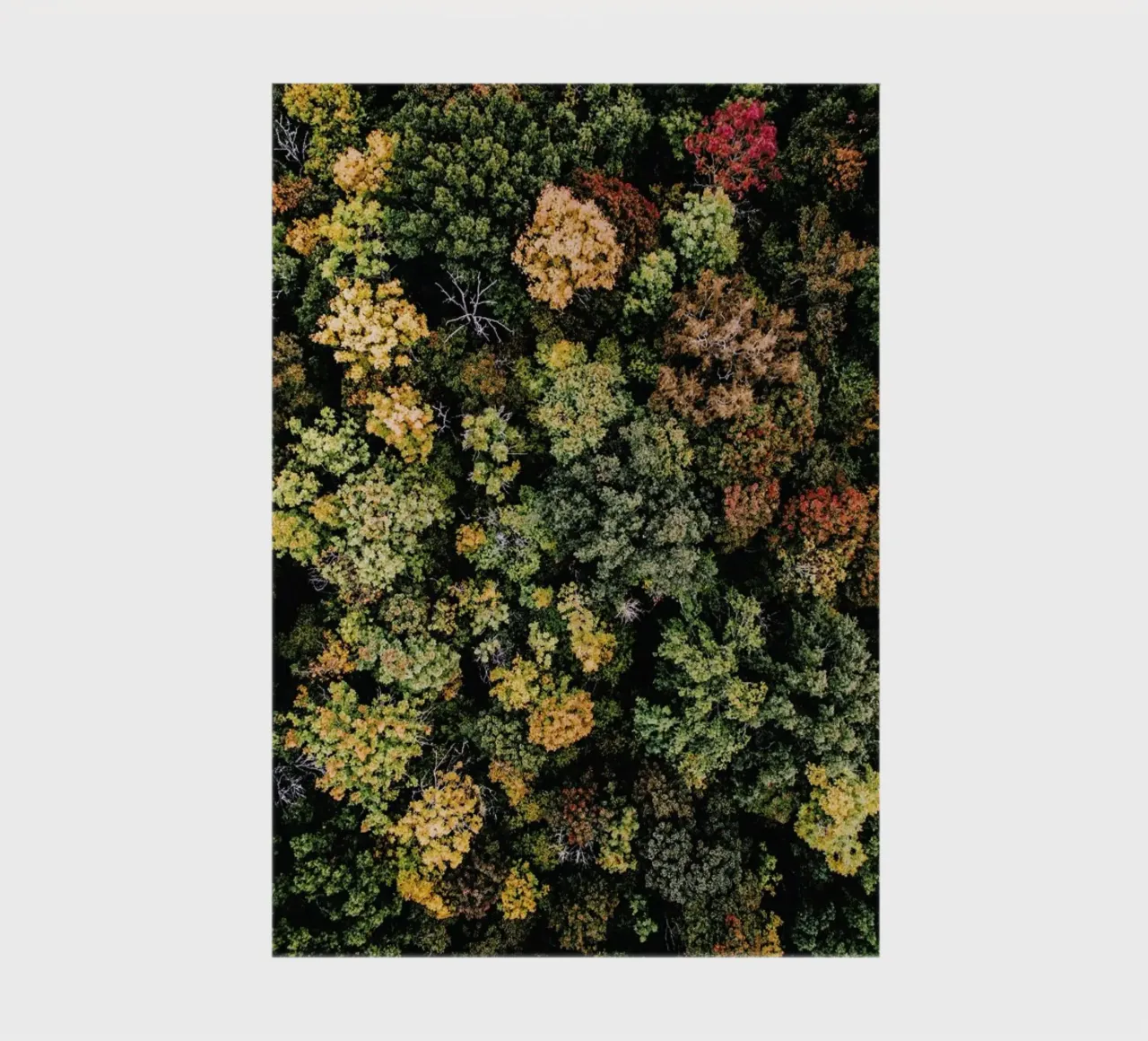 Tones of Autumn carnet de notes de Airpixels
