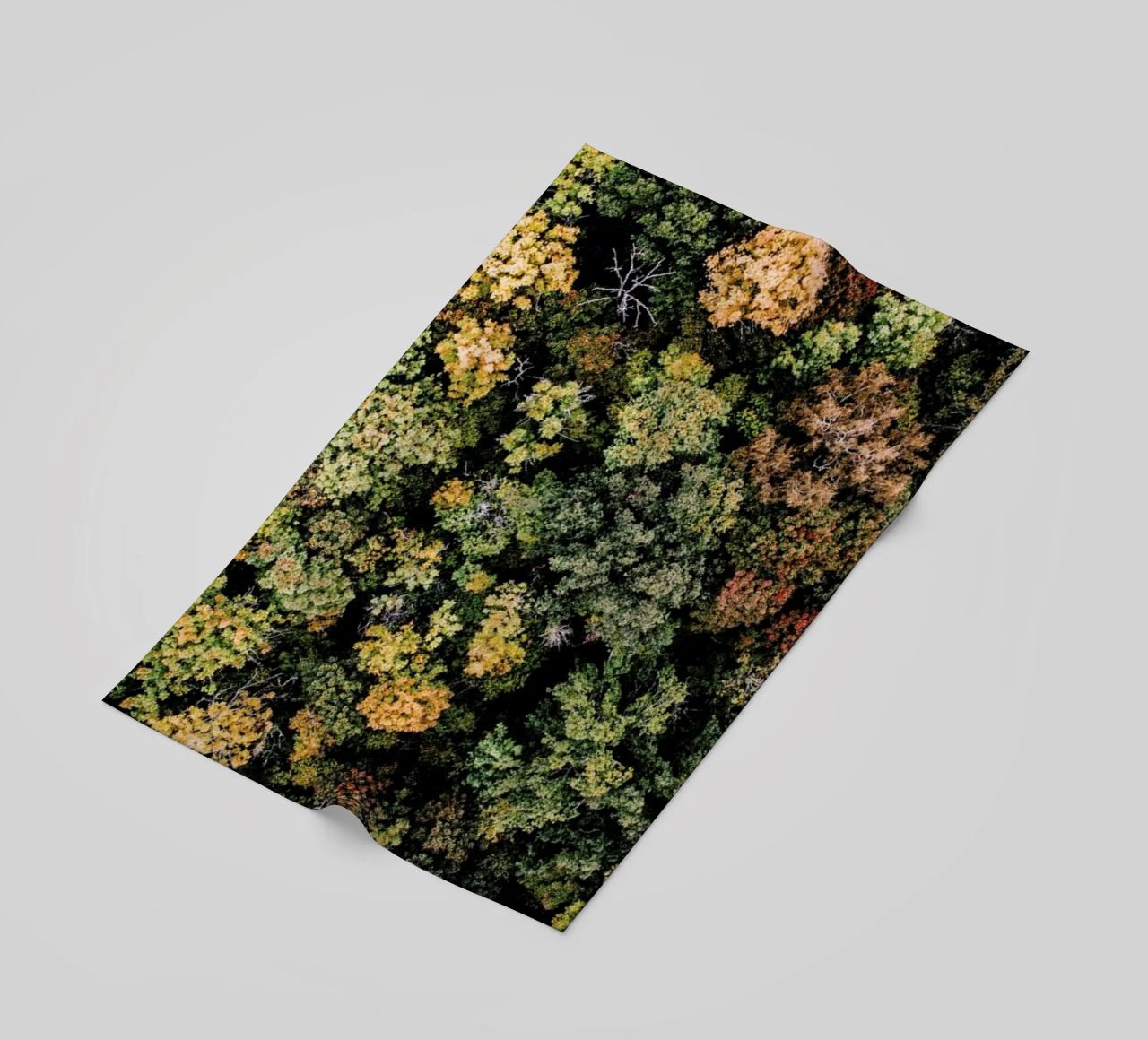 Tones of Autumn telo mare da Airpixels