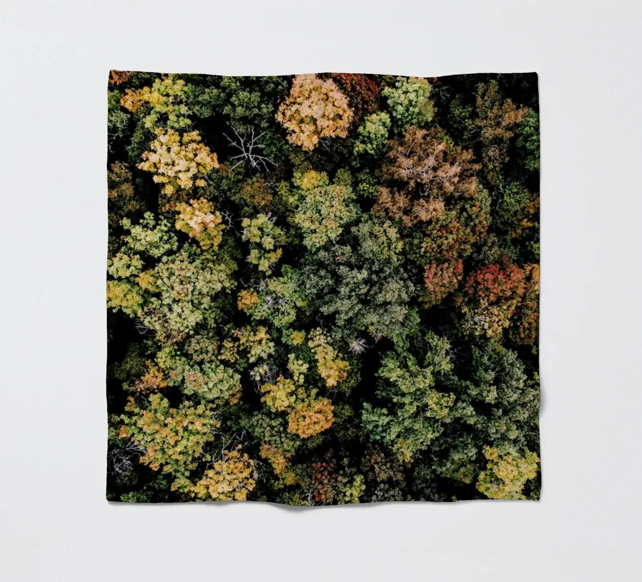 Tones of Autumn coperta in pile da Airpixels