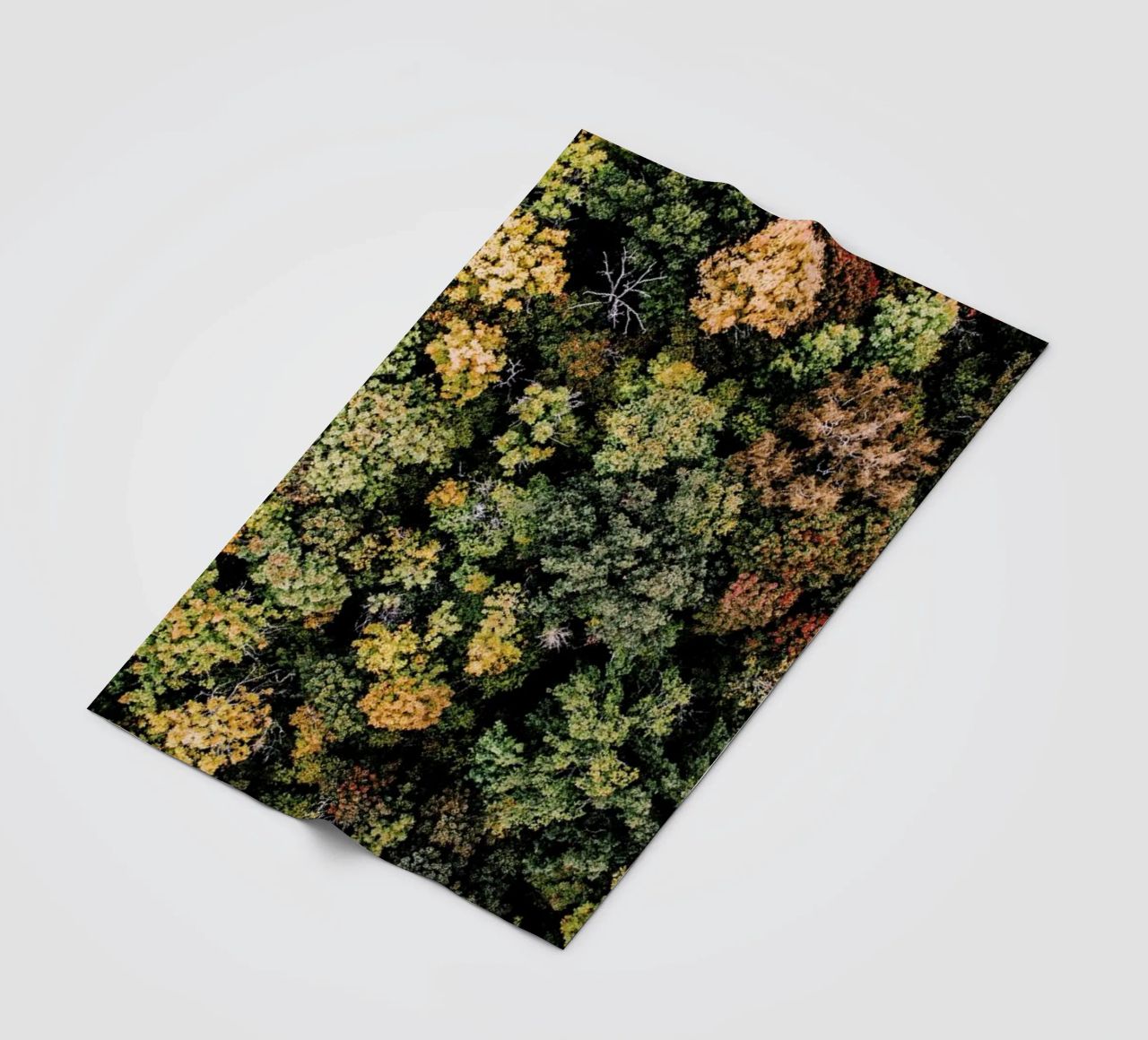 Tones of Autumn coperta in pile da Airpixels