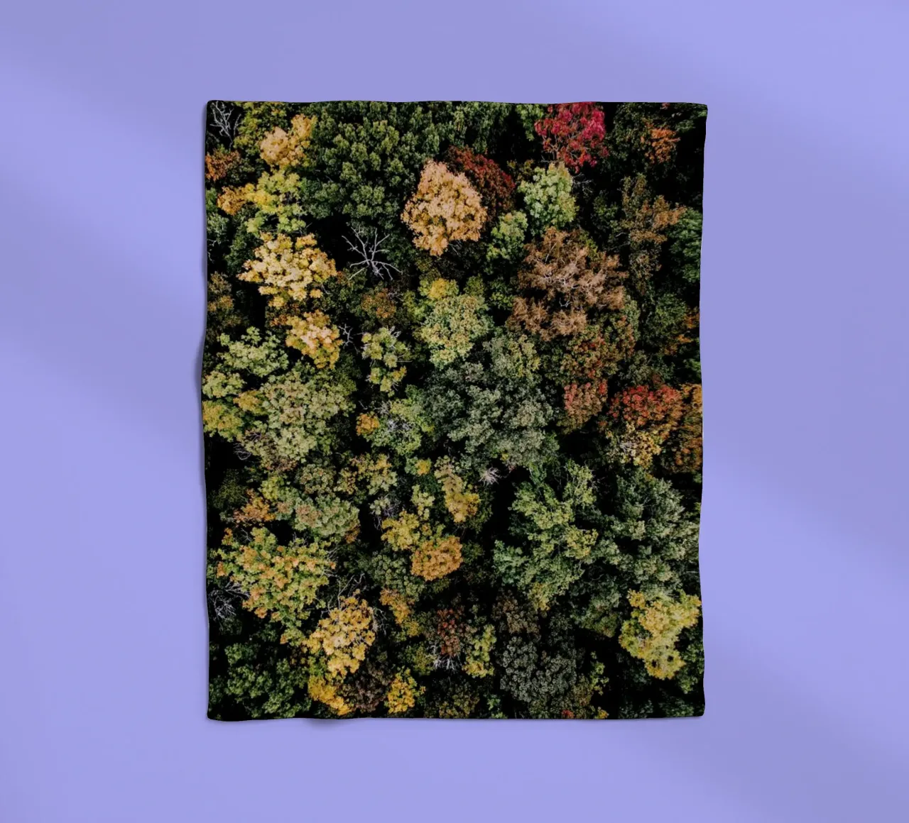 Tones of Autumn coperta in pile da Airpixels