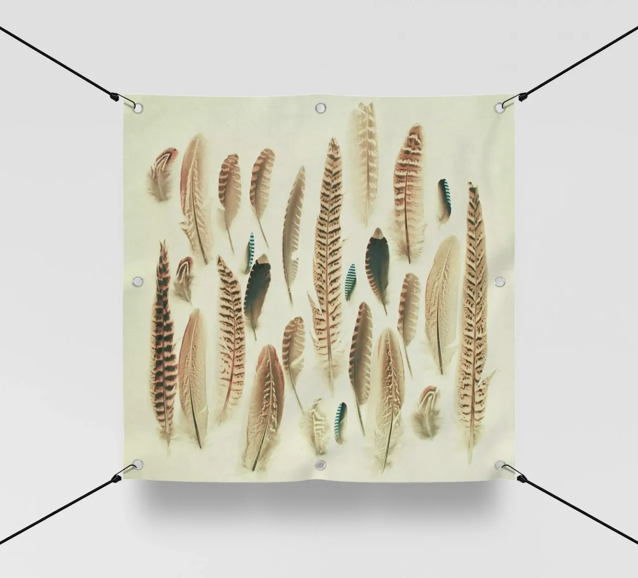 Piume trovate telo in pvc da Cassia Beck Photography