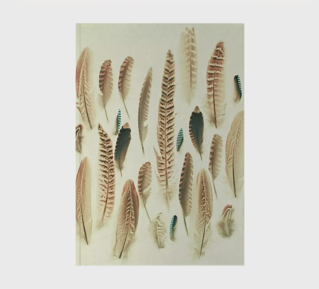 Found Feathers notebook by Cassia Beck Photography