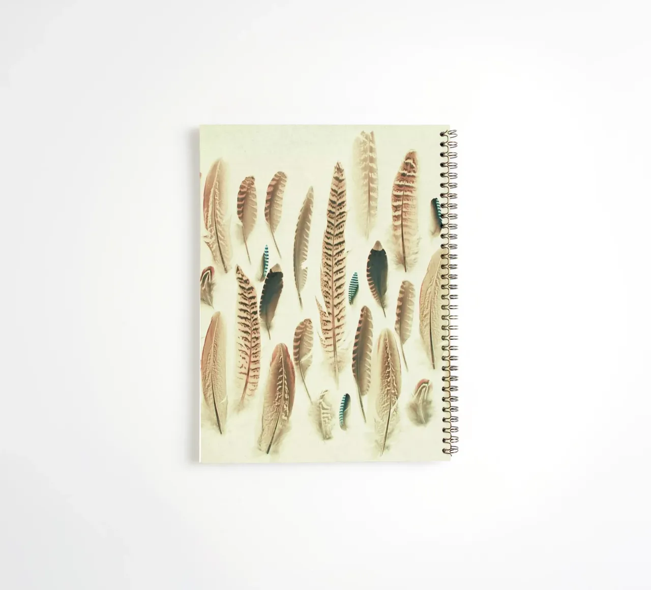 Found Feathers spiral notebook by Cassia Beck Photography