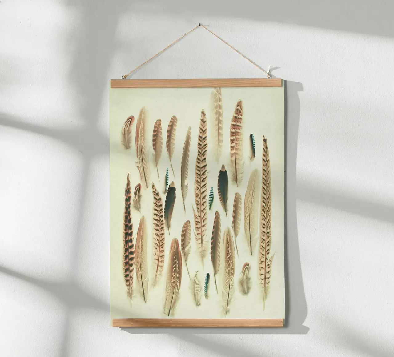 Found Feathers poster by Cassia Beck Photography